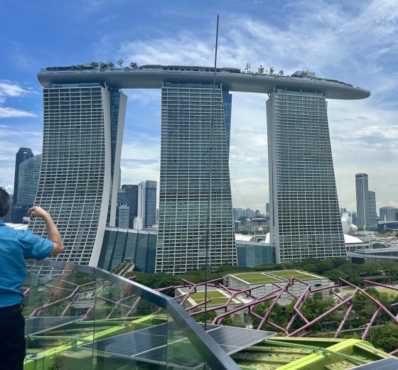 A wide view taken from the top of the Supertree Grove in Singapore, looking out toward the iconic Marina Bay Sands hotel. The three skyscrapers with their connecting surfboard-shaped rooftop garden dominate the skyline, set against a bright, hazy blue sky with light clouds. In the foreground, the purple structural ribs of a Supertree and solar panels are visible.